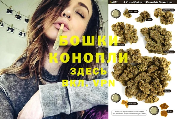 PSILOCYBIN Медвежьегорск