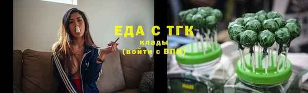 гидра Елизово