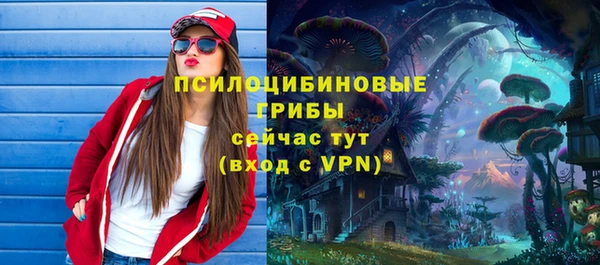 хмурый Мегион