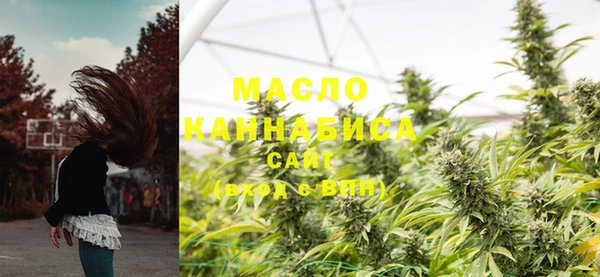 хмурый Мегион
