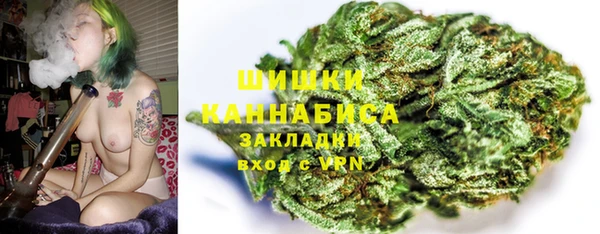 PSILOCYBIN Медвежьегорск
