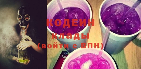 хмурый Мегион