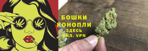не бодяженный Снежногорск