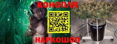 эйфоретик Дубна