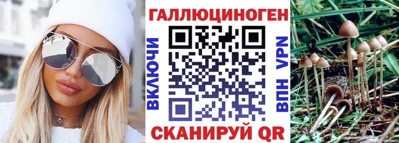 Псилоцибиновые грибы мицелий  Нерюнгри 