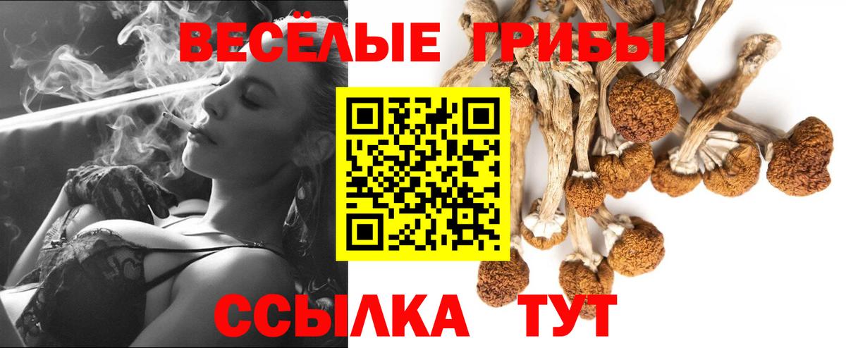 Галлюциногенные грибы прущие грибы Нерюнгри