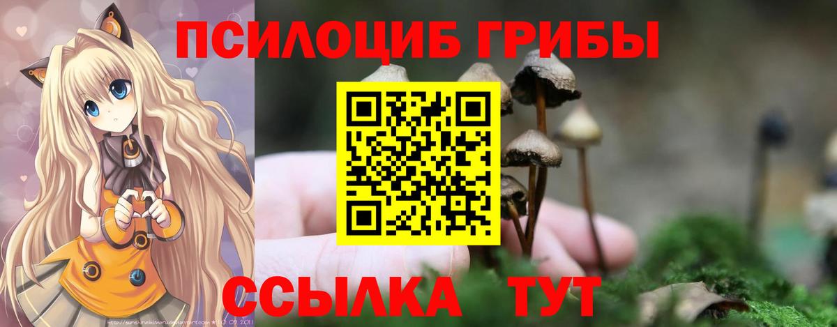 Галлюциногенные грибы мухоморы  Псилоцибиновые грибы Psilocybine cubensis  Вход с VPN  Нерюнгри 